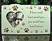 BANBERRY DESIGNS Pet Memorial Frame - Remembrance Saying f Love Could Have Saved You You Would Have Lived Forever Memorial Saying - Heart Shaped Photo Opening 3 ½” - Dog or Cat