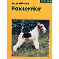 Foxterrier
