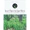 Wisconsin Trees and Prairies (and Other Stuff)