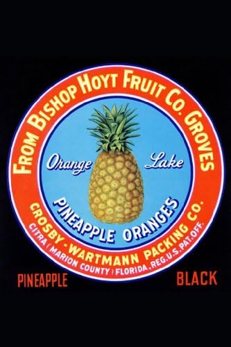 Orange Lake - Pineapple Oranges, 32x48 Canvas Giclée Print, Gallery Wrap, Heavy Duty Office Size
