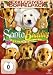 Weihnachtspack 2 - Santa Buddies + Elfen helfen [2 DVDs]