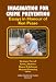 Books : Imagination for Crime Prevention (Crime Prevention Studies) (Crime Prevention Studies)