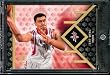 2007-08 (2008) Upper Deck SP Rookie Edition # 47 Yao Ming - Rockets - NBA Trading Card in Screw Down Protective Display Case!
