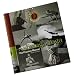 my fav YOGA books