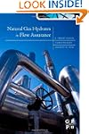 Natural Gas Hydrates in Flow Assurance,