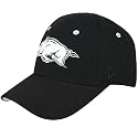 Zephyr Arkansas Razorbacks Black Silver Lining Fitted Hat