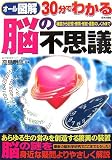 オール図解 30分でわかる脳の不思議―構造から記憶・感情・感覚・運動のしくみまで