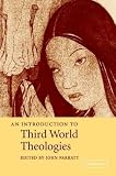 An Introduction to Third World Theologies (Introduction to Religion)