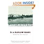 In a Narrow Grave : Essays on Texas