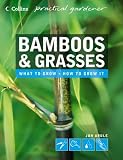 Bamboos and Grasses (Collins Practical Gardener)
