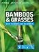 Bamboos and Grasses