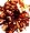 Medium Orange (2nd pom pon)