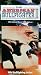 American Bullfighter 2
