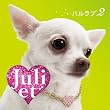 ハルラブ2(初回限定盤)(DVD付)