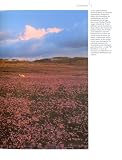 Das Große Sylt-Buch