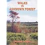 Walks in Ashdown Forest