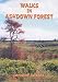 Walks in Ashdown Forest