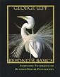 Beyond the Basics: Innovative Techniques for Nature Photography