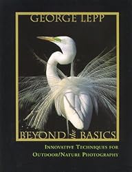 Beyond the Basics: Innovative Techniques for Nature Photography