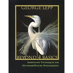 Beyond the Basics: Innovative Techniques for Nature Photography