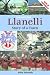 Llanelli: Story of a Town