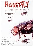 Housefly: An Everyday Monster