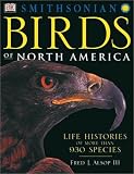 Birds Of North America