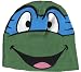 Search : Teenage Mutant Ninja Turtles Leonardo Knit Reversible Beanie
