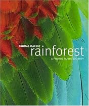 Rainforest