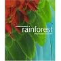 Rainforest