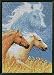 FOREVER WILD HORSES COUNTED CROSS STITCH KIT-5X7 14 COUNT