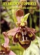 Hybrides d'ophrys du bassin m�diterran�en occidental