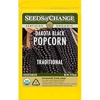 Seeds of Change S16630 Certified Organic Dakota Black PopCorn, 150 Seed Count