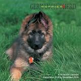 German Shepherd Puppies 2009 Wall Calendar 12 X 12
