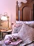Bed & Breakfast Complete Start Up Business Plan NEW 2008!