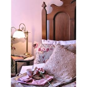 Bed & Breakfast Complete Start Up Business Plan NEW 2008!