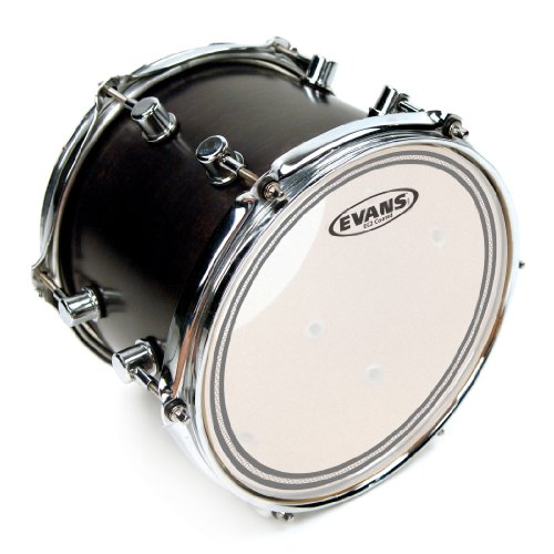 Evans B08EC2S 8\" Tomfell, doppelschichtig EC2 SST Preisvergleich