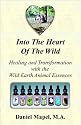 Into the Heart of the Wild: Healing and Transformation With the Wild Earth Animal Essences