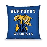 Biederlack Kentucky Wildcats 27 Classic Floor Pillow