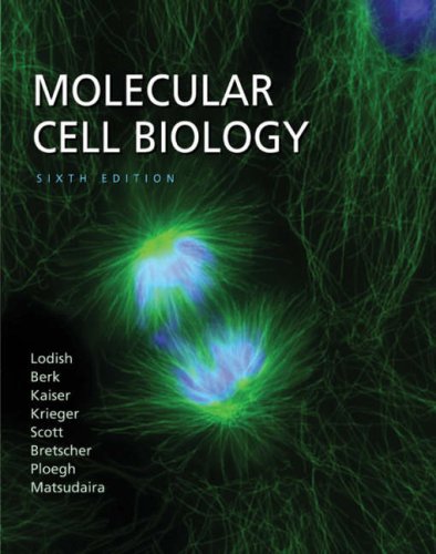 City Travel Guides Discounted  Books : Molecular Cell Biology