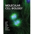 Molecular Cell Biology