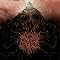 Deathcore with drum solos