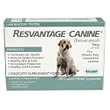 Resvantage Canine - The Resveratrol Longevity Supplement for Dogs - 30 Capsules
