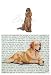 Irish Setter Glass Cutting Board