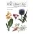 The Wild Flower Key: British Isles and North West Europe : A Guide to Plant Identification in the Field, with and Without Flowers