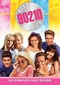 Beverly Hills, 90210 - The Complete First Season