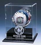 One Baseball Display Case with Gold Glove and Mahogany Finish