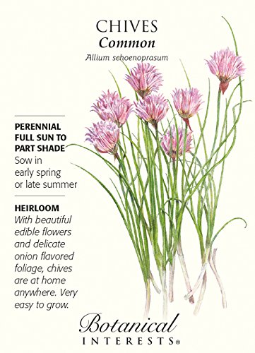Common Chives Seeds - 1 gram - Heirloom