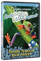 Really Wild Animals - Totally Tropical Rain Forest Streaming.