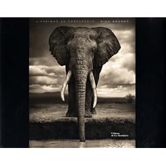 L'Afrique au cr�puscule